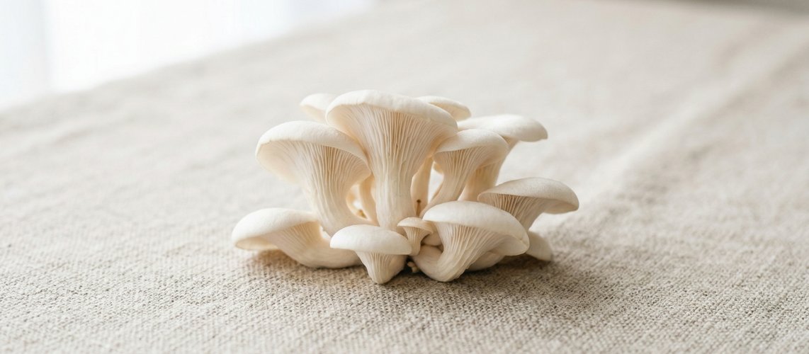 Image of Niacinamide – hudvårdsingrediens för bättre hud | Skinroller