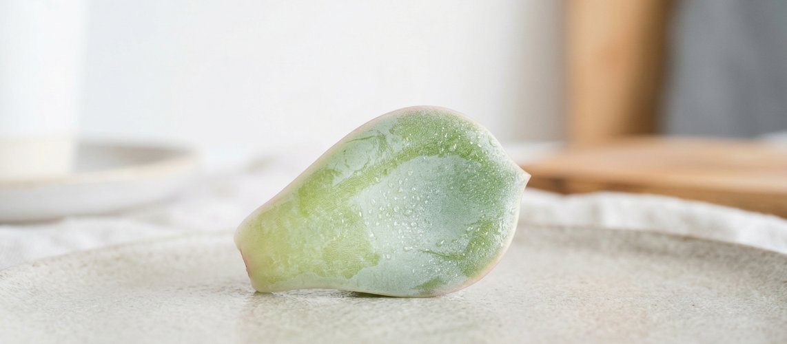 Image of Ceramider – hudvårdsingrediens för bättre hud | Skinroller