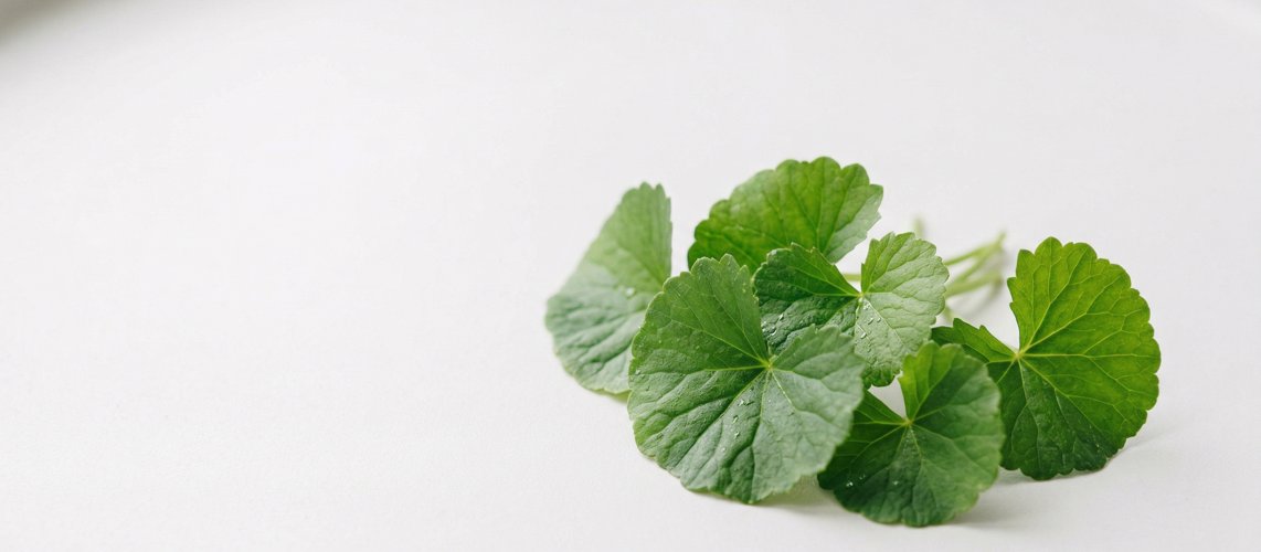 Image of Centella Asiatica – hudvårdsingrediens för bättre hud | Skinroller