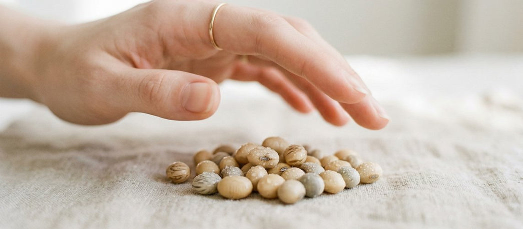 Polyglutaminsyra (PGA) – hudvårdsingrediens för bättre hud | Skinroller
