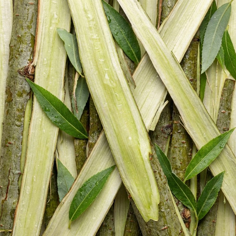 Image of Salicylsyra (BHA) - ingrediens närbild | Skinroller