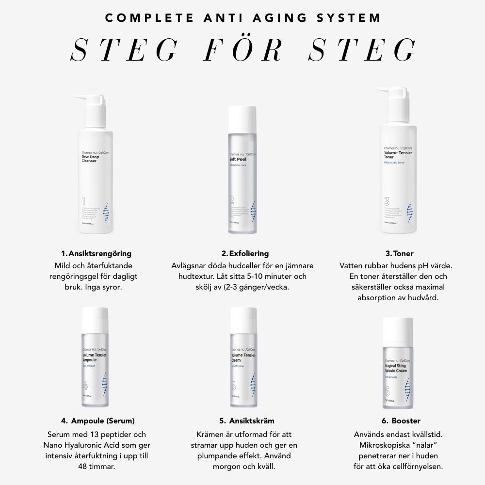 Anti Aging Kit 6 Stappen - Koreaanse Huidverzorgingsroutine